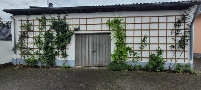 Fassadenbegrünung an einer Garage